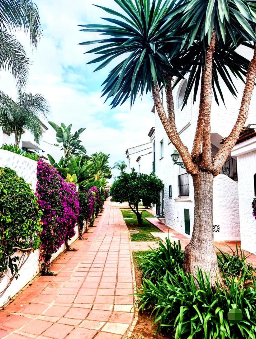 Apartamento Paraiso y Mar Estepona Exterior foto